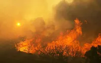 Hàng nghìn người Mỹ phải sơ tán do cháy rừng ở bang California