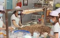 Doanh nghiệp chế biến điều chật vật vì thiếu nguyên liệu