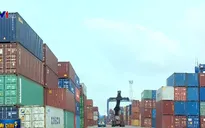 Kiểm tra nhập khẩu phế liệu tại TP.HCM