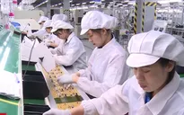 TP.HCM: Nhiều nhà đầu tư ngoại góp vốn, mua cổ phần DN Việt