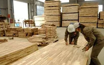 Xuất khẩu lâm sản 6 tháng ước đạt 4,15 tỷ USD