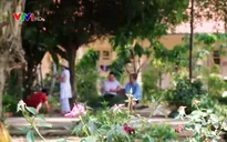 Nghiện ma túy đá rất khó cai