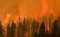 Cháy rừng lan rộng tại California, Mỹ