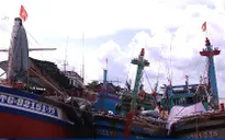 EC chưa thể bỏ thẻ vàng với thủy sản Việt Nam