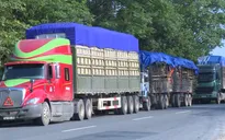 Công an Hà Nội tăng cường kiểm soát phương tiện chở hàng quá tải trọng