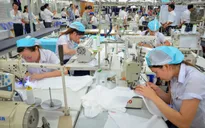 Doanh nghiệp dệt may tìm cách thích ứng với quy tắc xuất xứ trong CPTPP