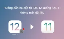 Thủ thuật hạ cấp iOS 12 về iOS 11 không mất dữ liệu ứng dụng