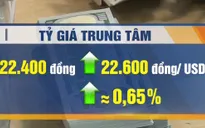 Tỷ giá tăng nhưng chưa đáng lo ngại