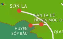 Mộc Châu (Sơn La) là địa bàn phức tạp về tội phạm ma túy