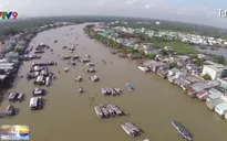 Thu hồi giấy phép nếu không chấn chỉnh hoạt động tại bến Ninh Kiều