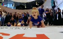 Thú vị cuộc thi bò dành cho các em bé