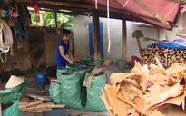 Phát triển bền vững làng nghề tự phát - Bài toán khó với nhiều địa phương