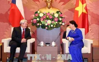 Việt Nam luôn coi trọng phát triển quan hệ với Czech