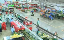 Liên kết nông hộ để xây dựng nông nghiệp thông minh tại Việt Nam