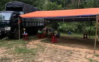 Bắt quả tang vụ đánh bạc quy mô lớn trong rừng sâu