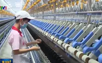 World Bank nâng dự báo tăng trưởng kinh tế Việt Nam