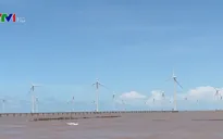 Việt Nam có đủ điều kiện để phát triển mạnh năng lượng tái tạo