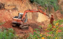 Lâm Đồng: Đề nghị xử lý hai doanh nghiệp tự ý san ủi 3,58 ha đất rừng