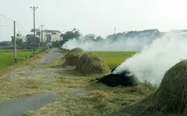 Xử lý nghiêm hành vi phơi nông sản, rơm rạ cản trở giao thông