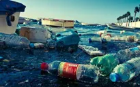 WWF cảnh báo tình trạng ô nhiễm rác thải nhựa tại Địa Trung Hải