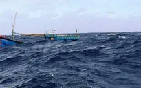 Cứu nạn 31 thuyền viên bị chìm tàu gần Trường Sa