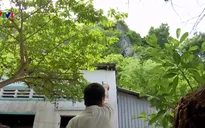 Kiên Giang: Người dân lo lắng vì nguy cơ sạt lở nủi