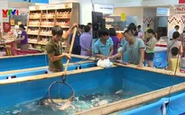 1 tấn cá sẽ được tiêu thụ tại Tuần lễ cá sông Đà