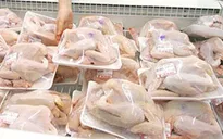 Nhiều cơ hội xuất khẩu thịt gà sang Nhật Bản