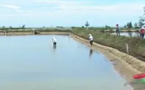 Tạo sinh kế cho người nghèo bằng tín dụng chính sách