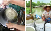 Thức ăn chuyển màu lạ khi nấu bằng nước sạch nông thôn