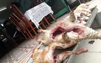 Cảnh bảo sử dụng thịt thú rừng