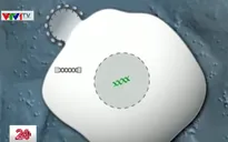 Kết quả khả quan khi thử nghiệm vaccine HIV trên người