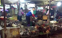 Nhiều nguy cơ tiềm ẩn từ việc buôn bán, giết mổ gia cầm sống tại chợ