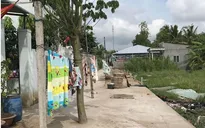 Xử lý trách nhiệm vụ 113 khu dân cư tự phát ở Cần Thơ