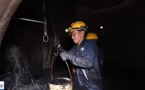 Lặng người xem cảnh làm việc của những công nhân dọn rác dưới cống