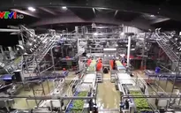 Kinh nghiệm quốc tế trong việc phát triển nông nghiệp thông minh bền vững