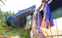 Gần 200 căn nhà tại ĐBSCL bị thiệt hại do lốc xoáy