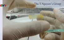 TP.HCM nghiên cứu phát triển Silicon thông minh