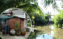Người dân bán đảo Thanh Đa khốn khó vì quy hoạch treo