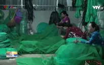 Làng nghề ăn theo mùa nước nổi hối hả vào mùa “hái” tiền
