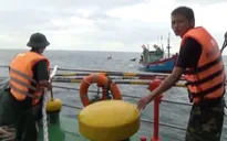 Đà Nẵng: Kịp thời cứu 8 thuyền viên gặp nạn trên biển