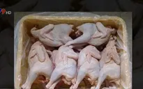 Gà không đầu, không chân siêu rẻ 40.000 đồng/kg bán đầy vỉa hè