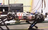 Robot cứu hộ thế hệ mới