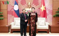 Chủ tịch Quốc hội Nguyễn Thị Kim Ngân tiếp Phó Chủ tịch Quốc hội Lào