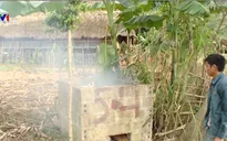 Ô nhiễm môi trường từ lò đốt rác thải thủ công
