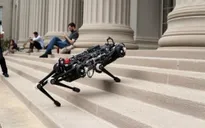 Robot "mù" vượt chướng ngại vật