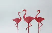 Giới thiệu vẻ đẹp nghệ thuật Origami qua triển lãm “Những đôi cánh”