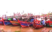 Thanh Hóa: Hơn 7.400 tàu thuyền được đưa vào nơi tránh trú bão an toàn
