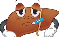 Mụn nhọt, mẩn ngứa, nóng trong, biểu hiện của nhiễm độc gan
