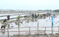Dự án "Tăng cường khả năng chống chịu với lũ lụt ở khu vực đô thị và ven biển Thừa Thiên Huế"